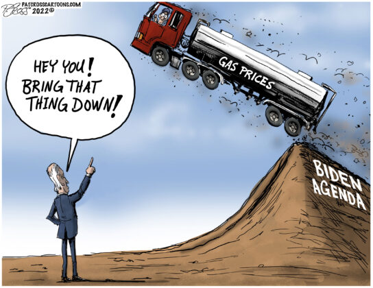 Pat Cross Cartoon